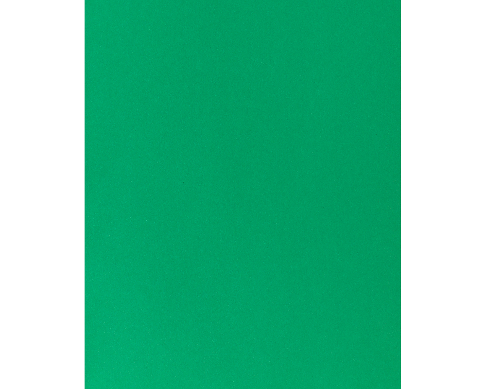 I AM CREATIVE Fotokarton A4 2903018327 270g, tannengrün