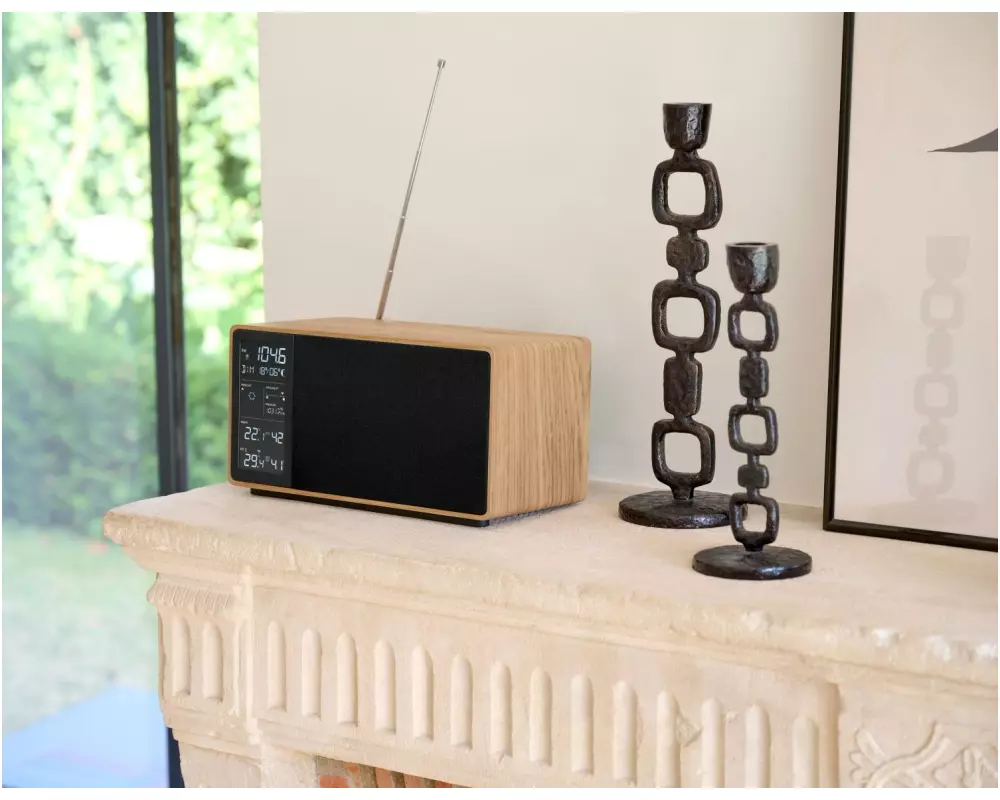 Thomson WS202 Bluetooth-Lautsprecher, FM-Radio