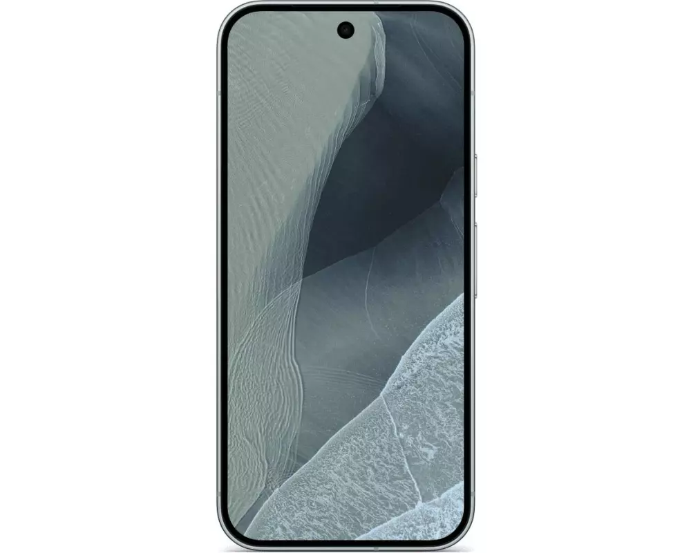 Google Pixel 11 Pro 256 GB Fog Grey