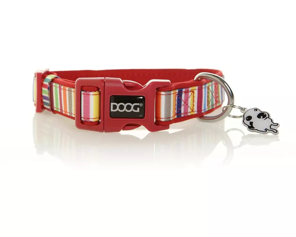 Doog Halsband Scooby L Multicolor gestreift