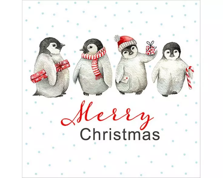 Braun + Company Weihnachtsservietten PingieKids Mehrfarbig, 20 Stück