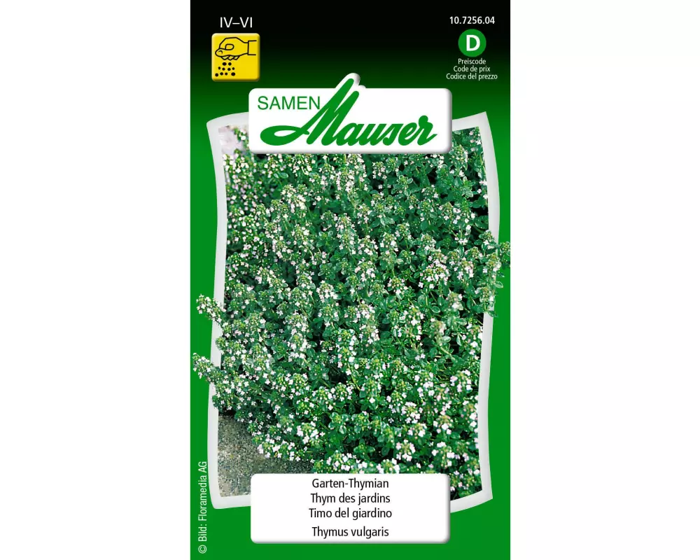 Samen Mauser Samen Thymian (Garten/Winter)