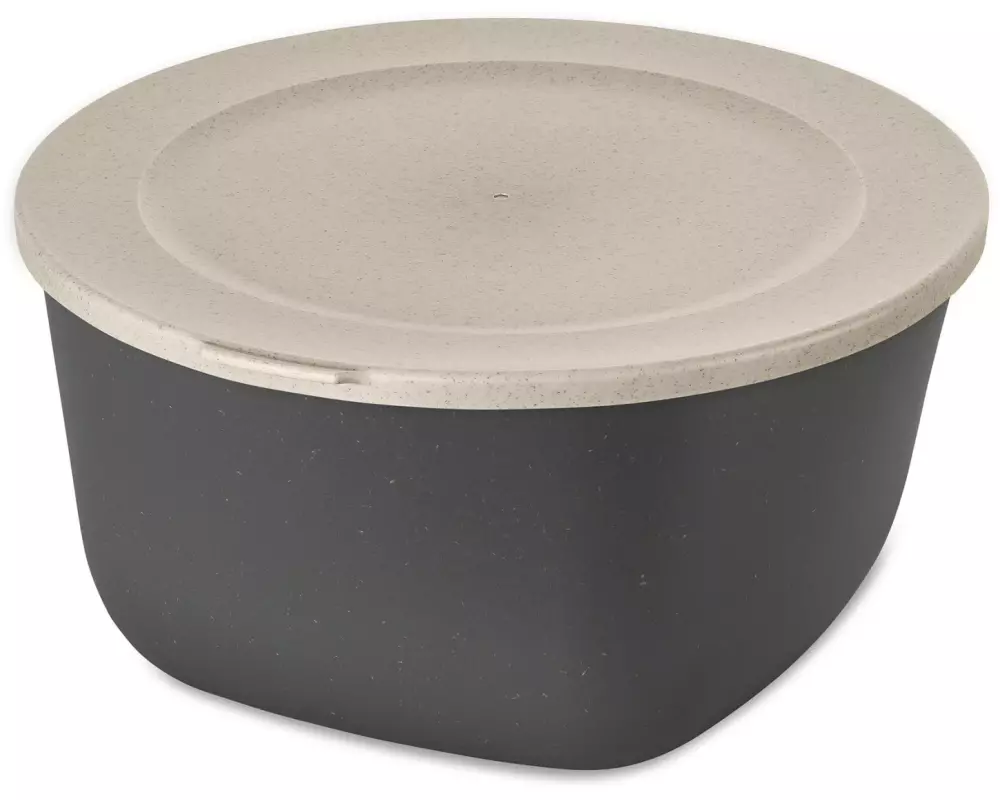 Koziol Vorratsdose Connect 4 l, Grau