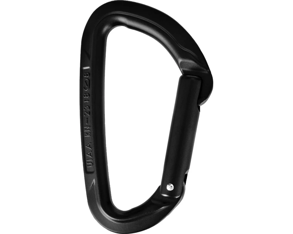 Wild Country Carabiner Session Straight Gate Schwarz