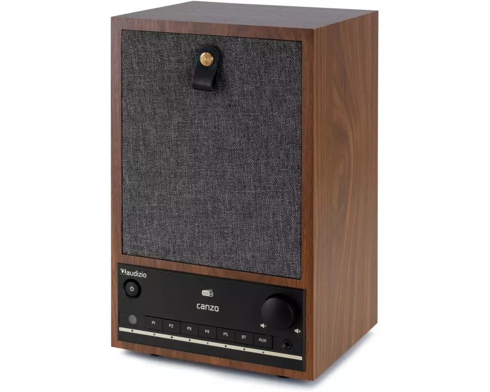 Audizio Internet Radio Canzo Dunkelbraun