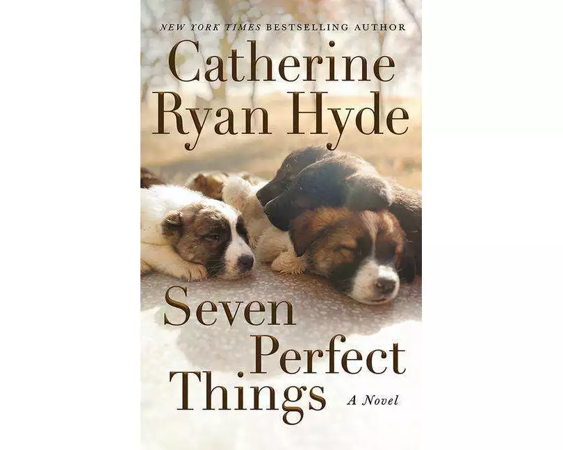 Seven Perfect Things