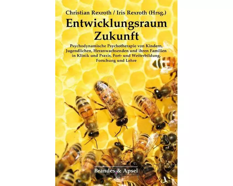 Entwicklungsraum Zukunft