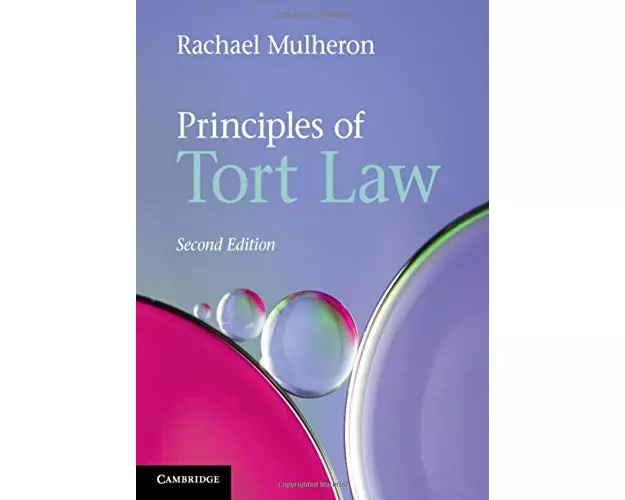 Principles of Tort Law