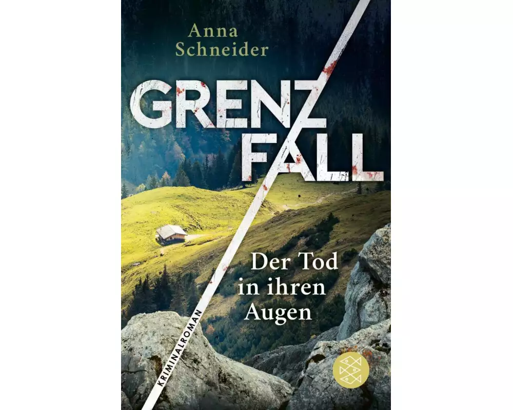 Grenzfall - Der Tod in ihren Augen