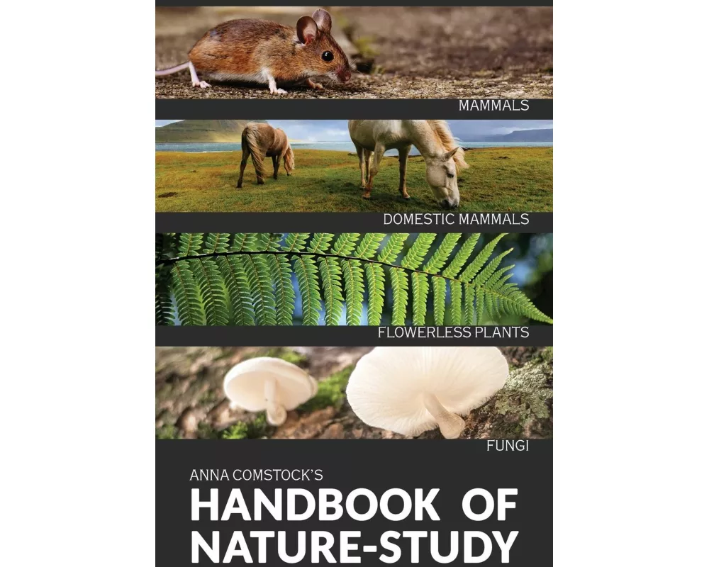 The Handbook Of Nature Study in Color - Mammals and Flowerless Plants