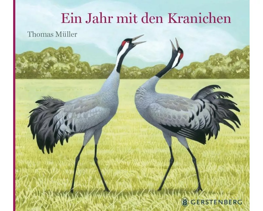 Ein Jahr mit den Kranichen
