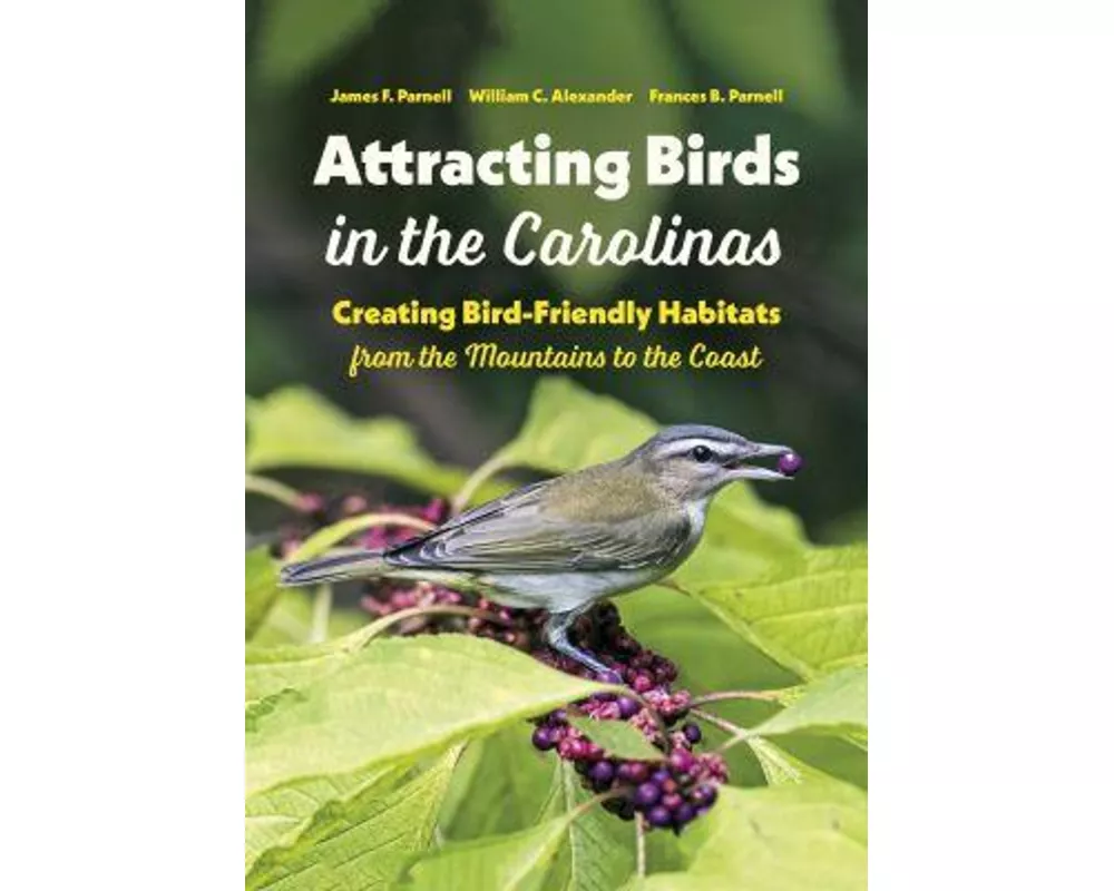 Attracting Birds in the Carolinas