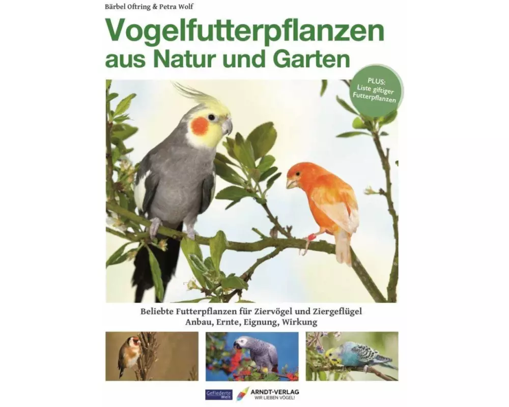 Vogelfutterpflanzen aus Natur und Garten