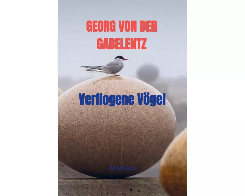 Verflogene Vögel