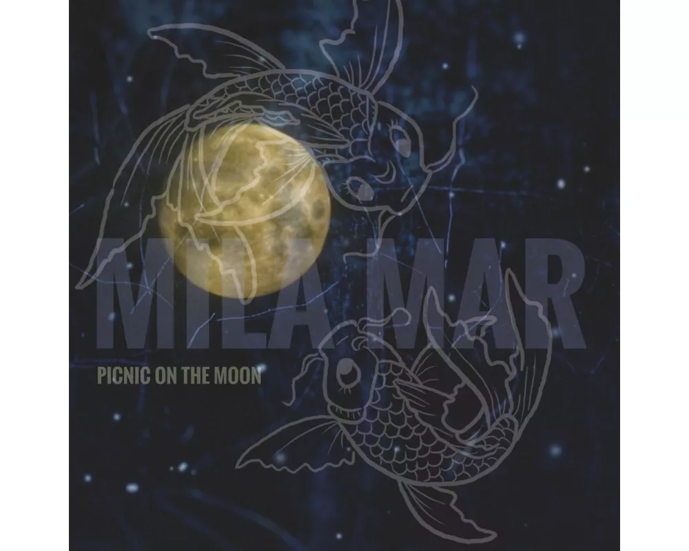 Picnic On The Moon
