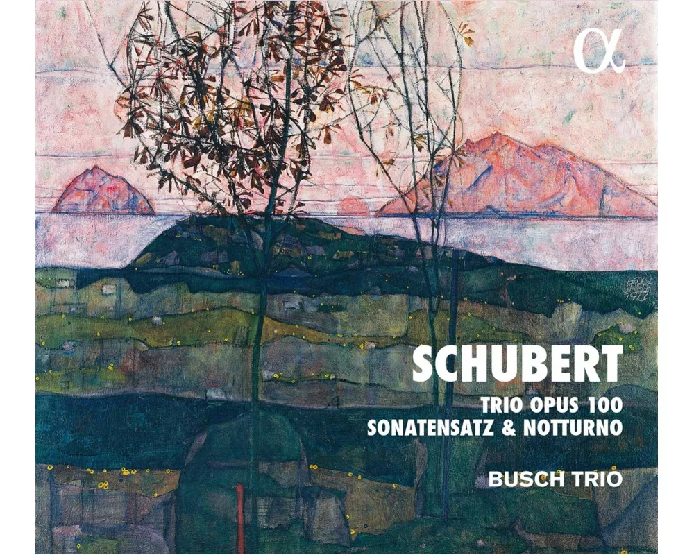 Trio Opus 100/Sonatensatz/Notturno