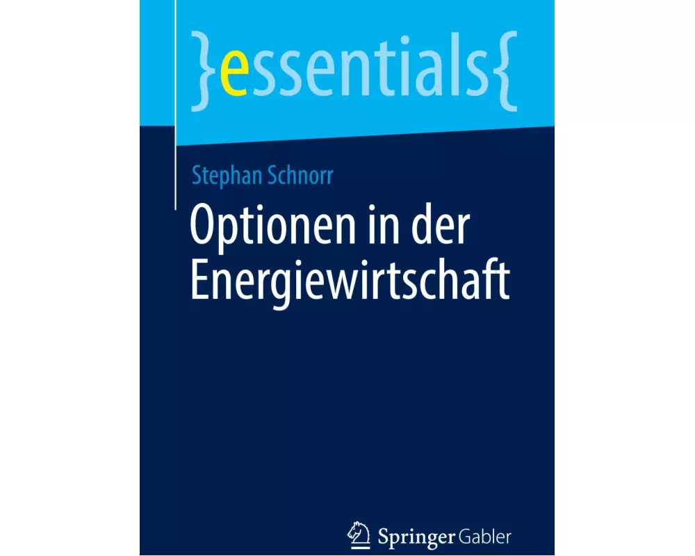 Optionen in der Energiewirtschaft
