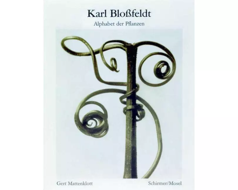 Alphabet der Pflanzen