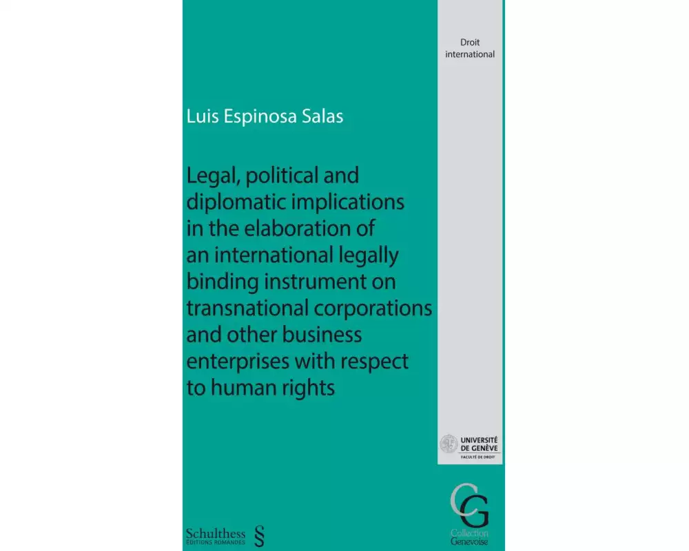 Legal, political and diplomatic implications in the elaboration of an international legally binding instrument on transnational corporations and other
