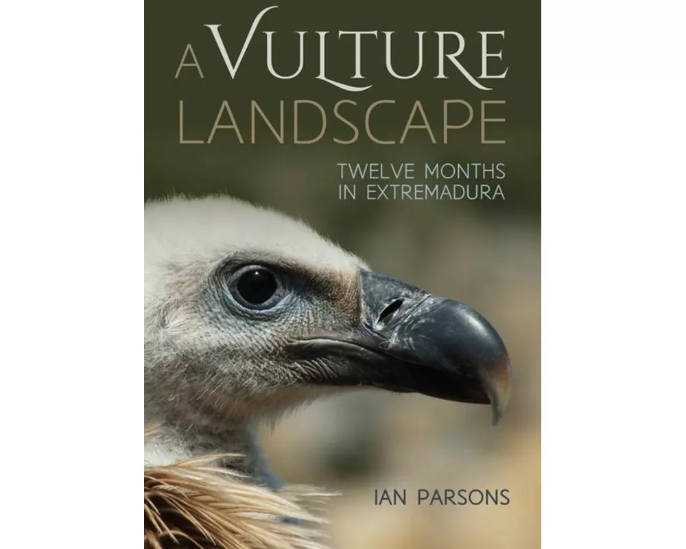 A Vulture Landscape