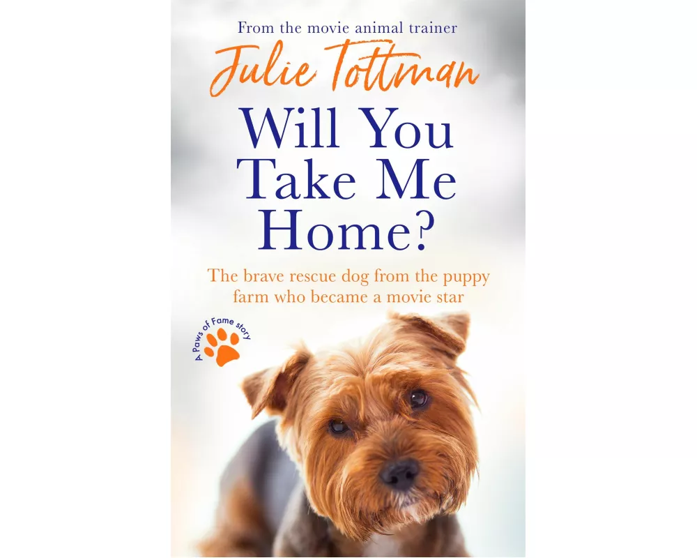 Will You Take Me Home?