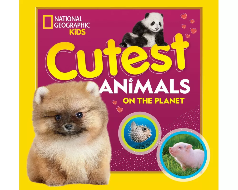 Cutest Animals on the Planet