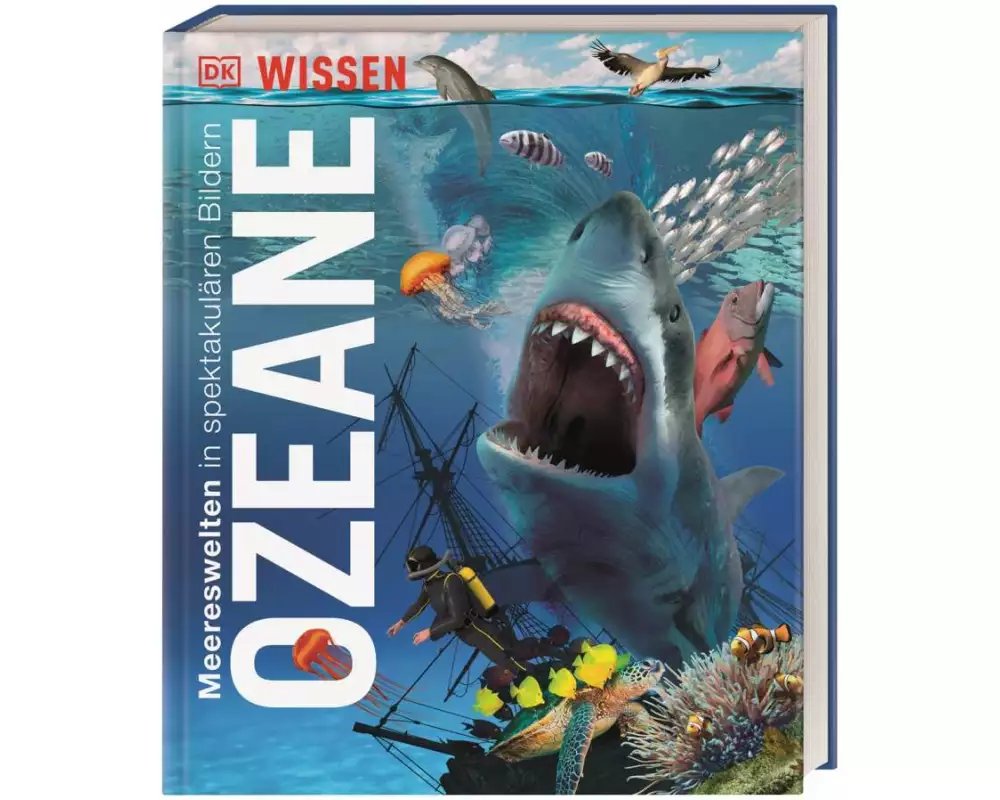 DK Wissen. Ozeane
