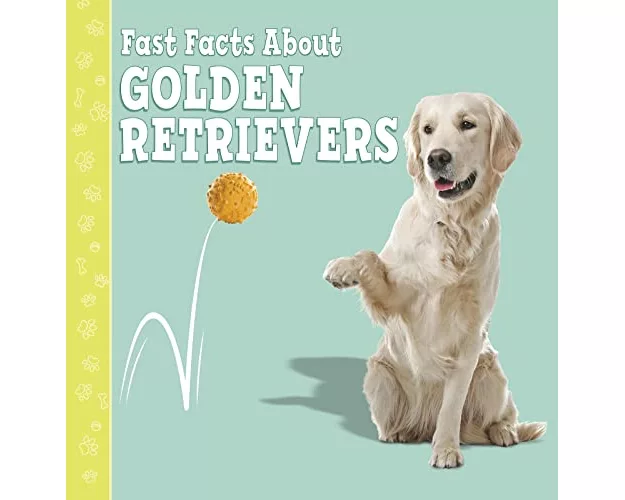 Fast Facts About Golden Retrievers