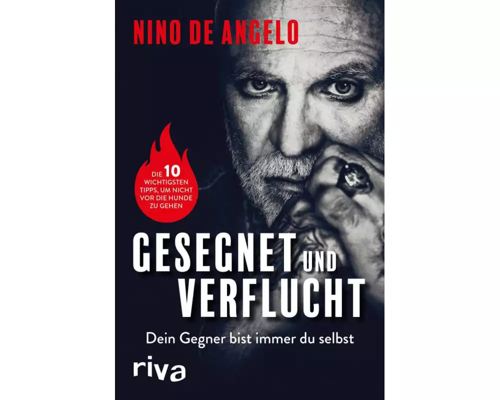 Gesegnet und verflucht