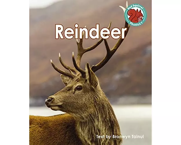 Reindeer