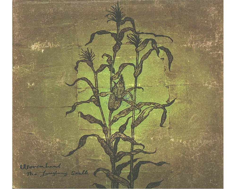 The Laughing Stalk