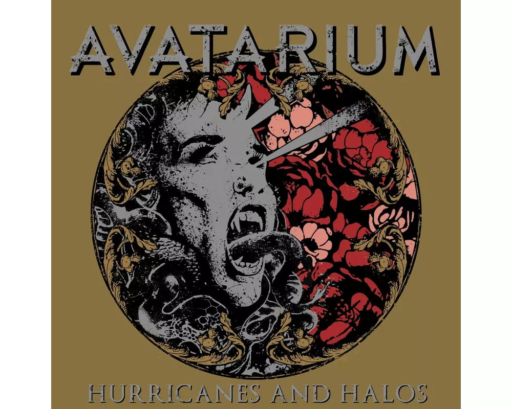 Hurricanes And Halos