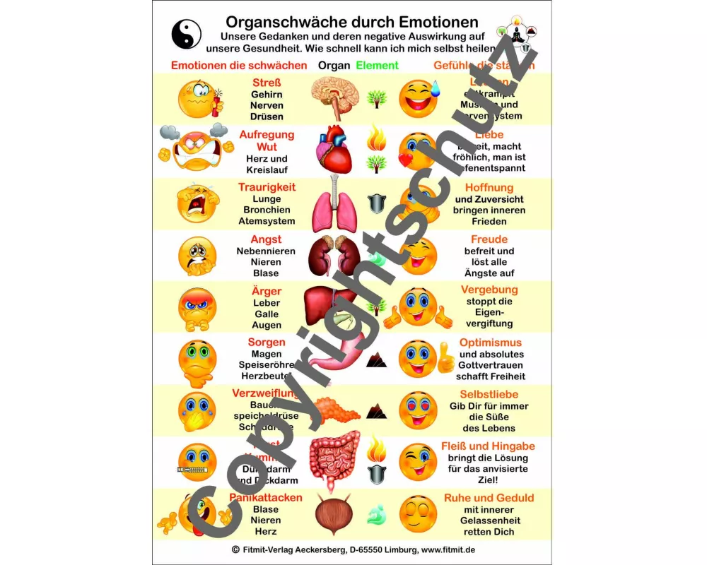 Organschwäche durch Emotionen