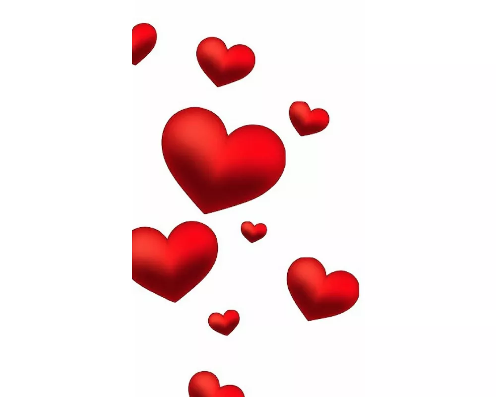 Valentine's red Hearts Creative blank Journal