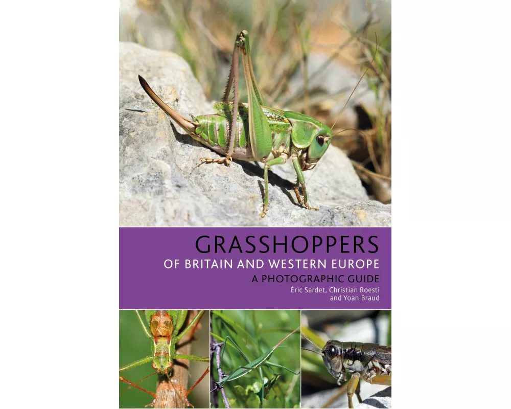 Grasshoppers of Britain and Western Europe