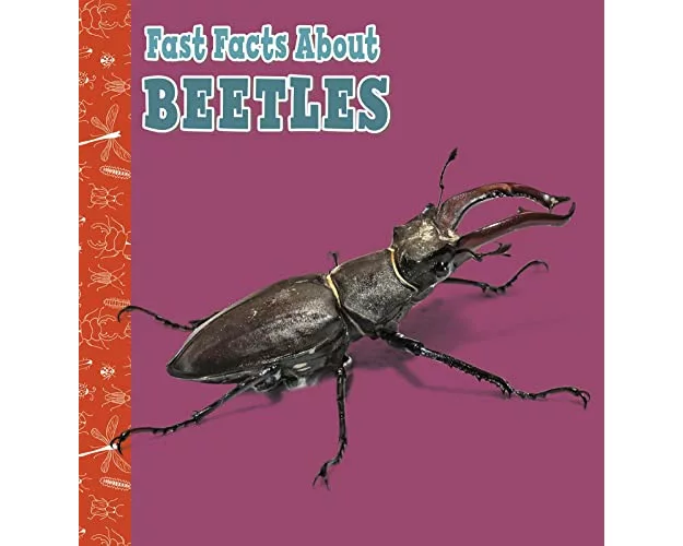 Fast Facts About Beetles