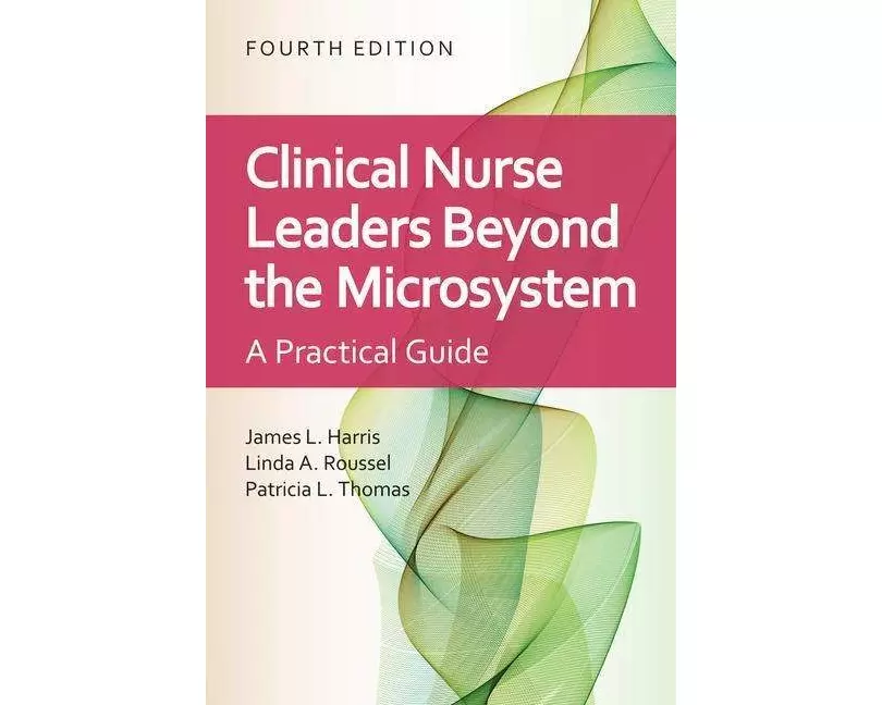 Clinical Nurse Leaders Beyond the Microsystem
