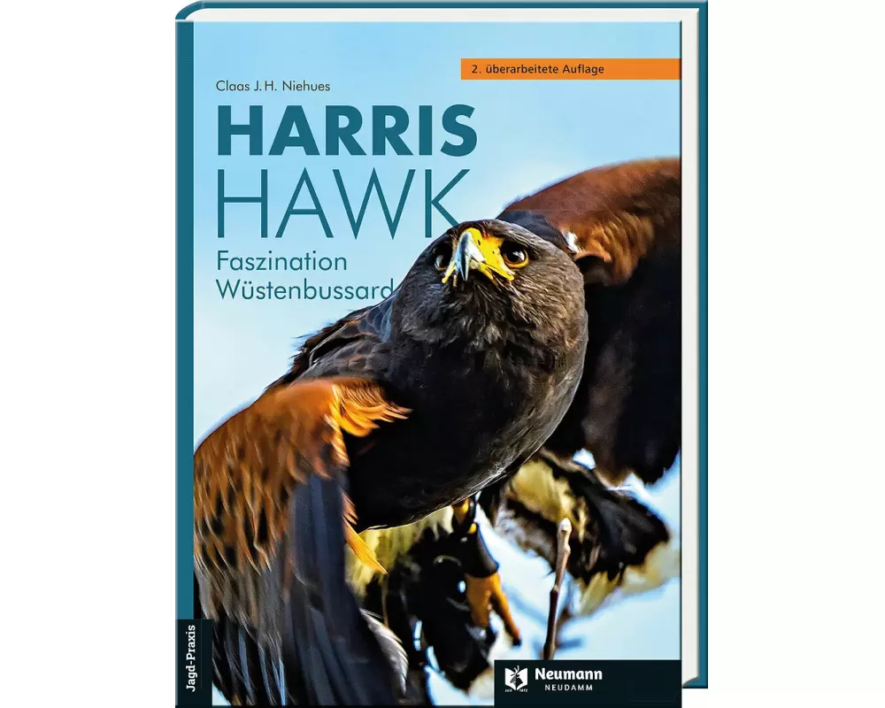 Harris Hawk