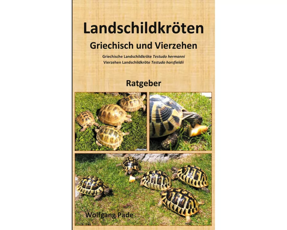 Landschildkröten Griechisch und Vierzehen