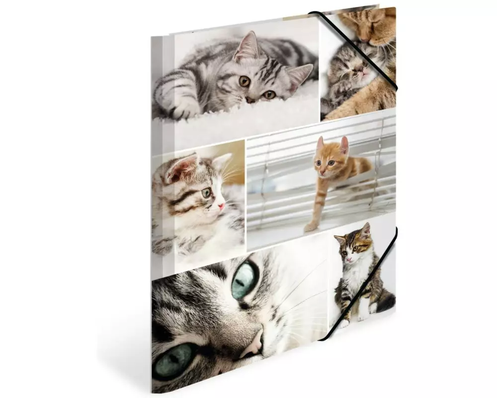 HERMA Gummibandmappe A4 Katzen, Karton, mit Innendruck