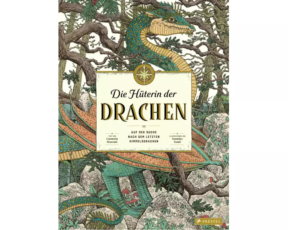 Die Hüterin der Drachen