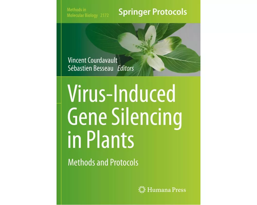 Virus-Induced Gene Silencing in Plants