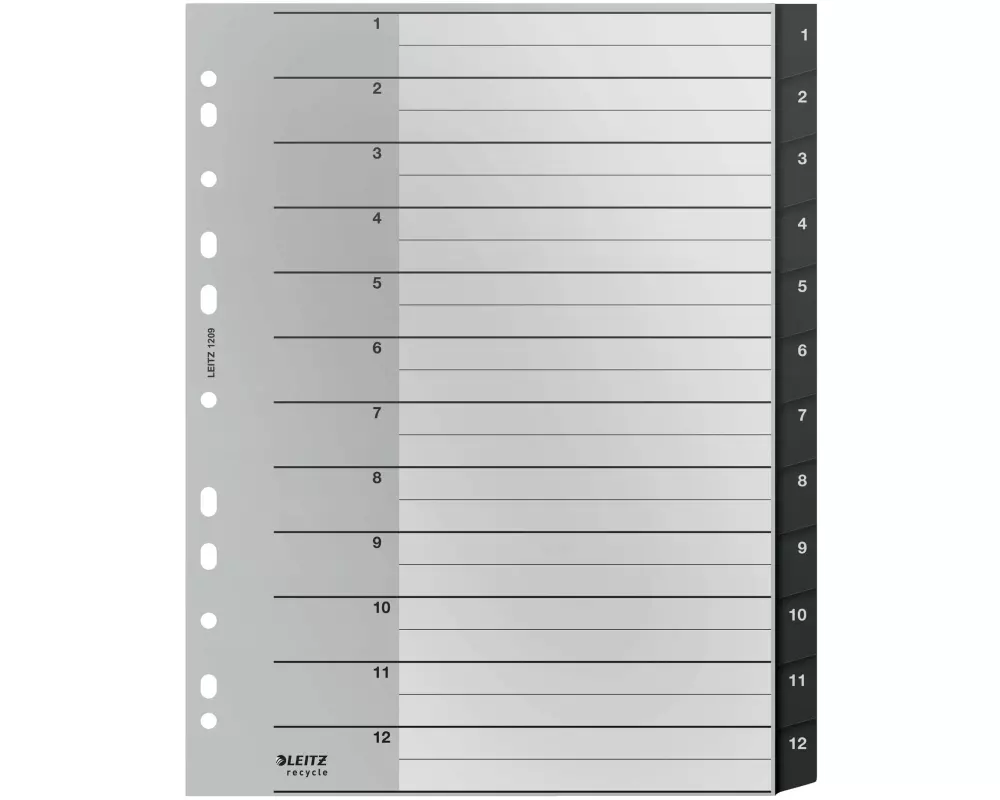 Leitz Register Recycle PC-beschriftbares Register 1-12, A4