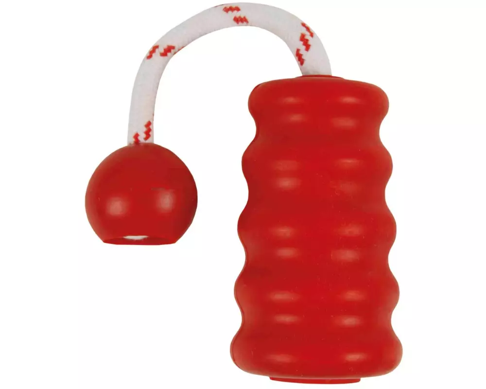 Trixie Schwimmspielzeug Aqua Toy MOT-Fun, 22 cm, Rot