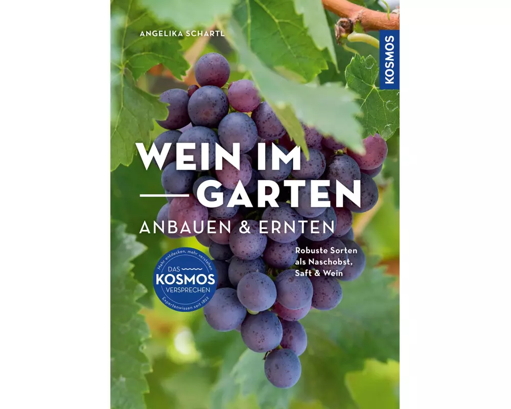 Wein im Garten anbauen & ernten