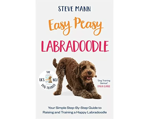 Easy Peasy Labradoodle