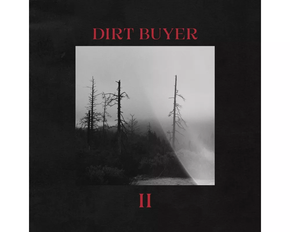 Dirt Buyer II