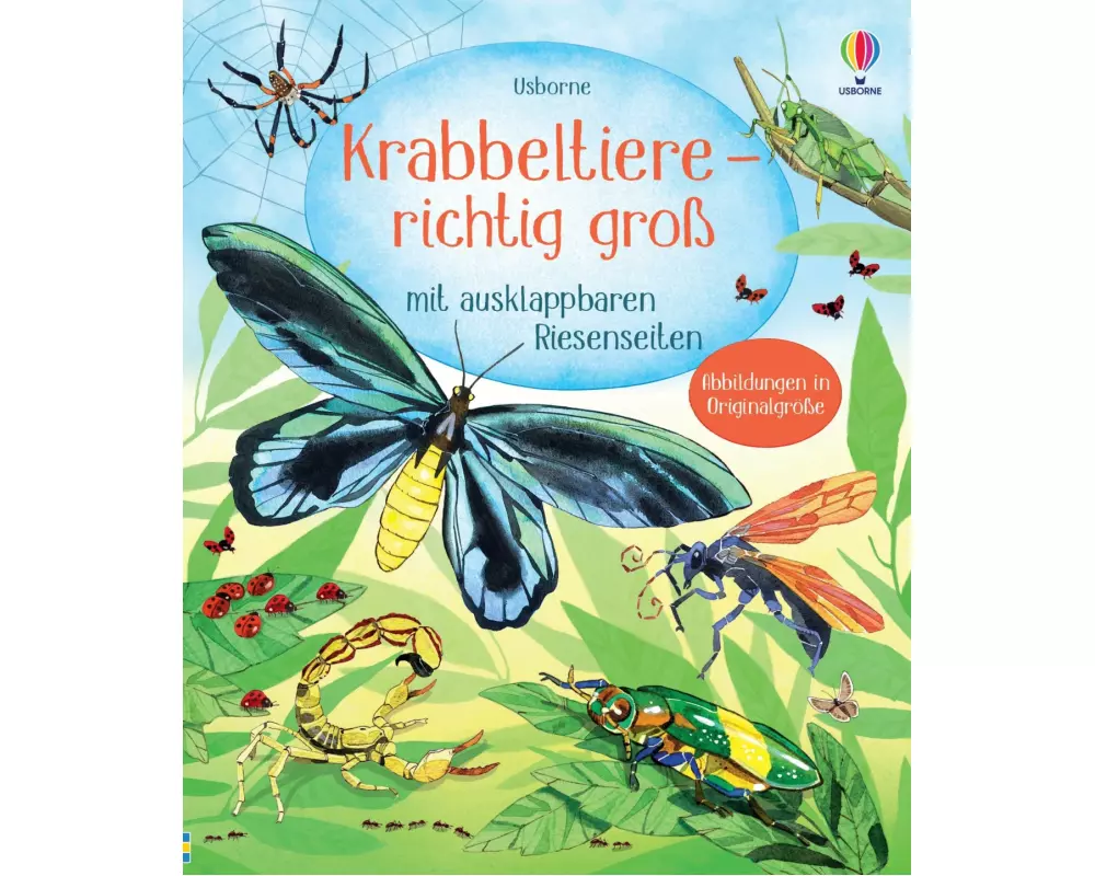 Krabbeltiere - richtig groß