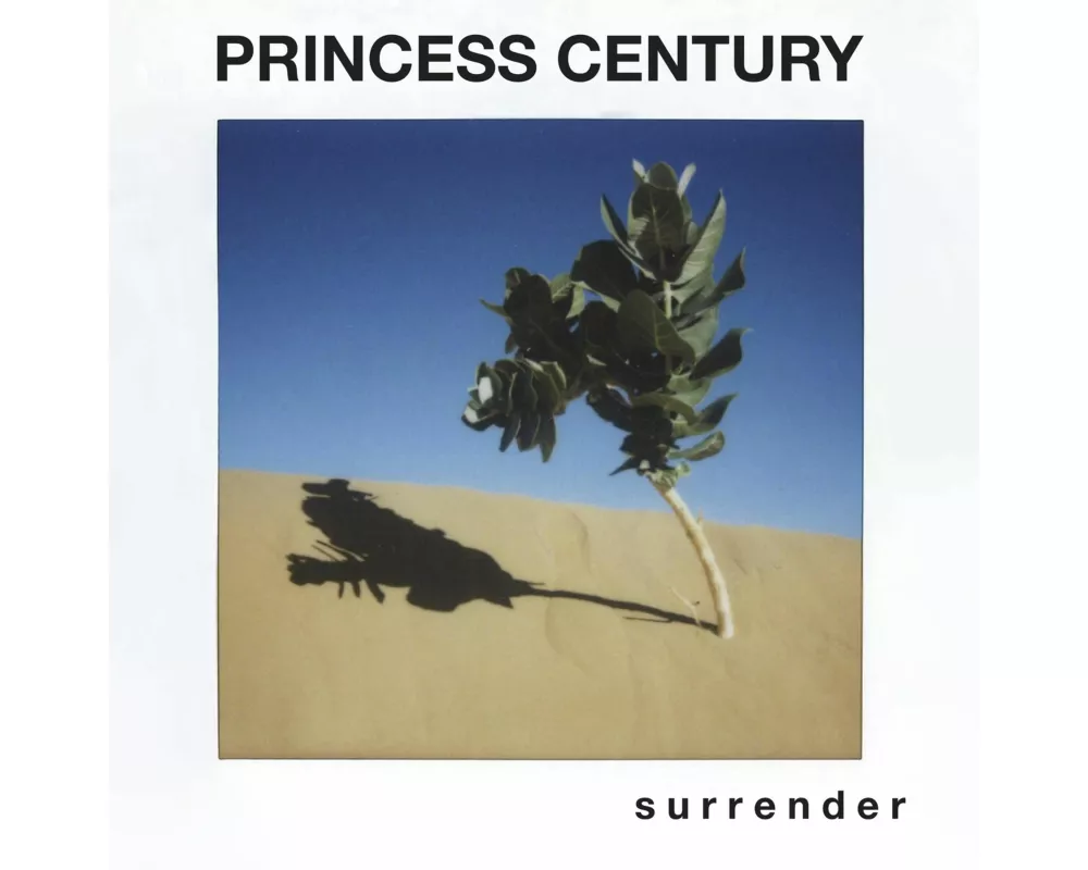 s u r r e n d e r