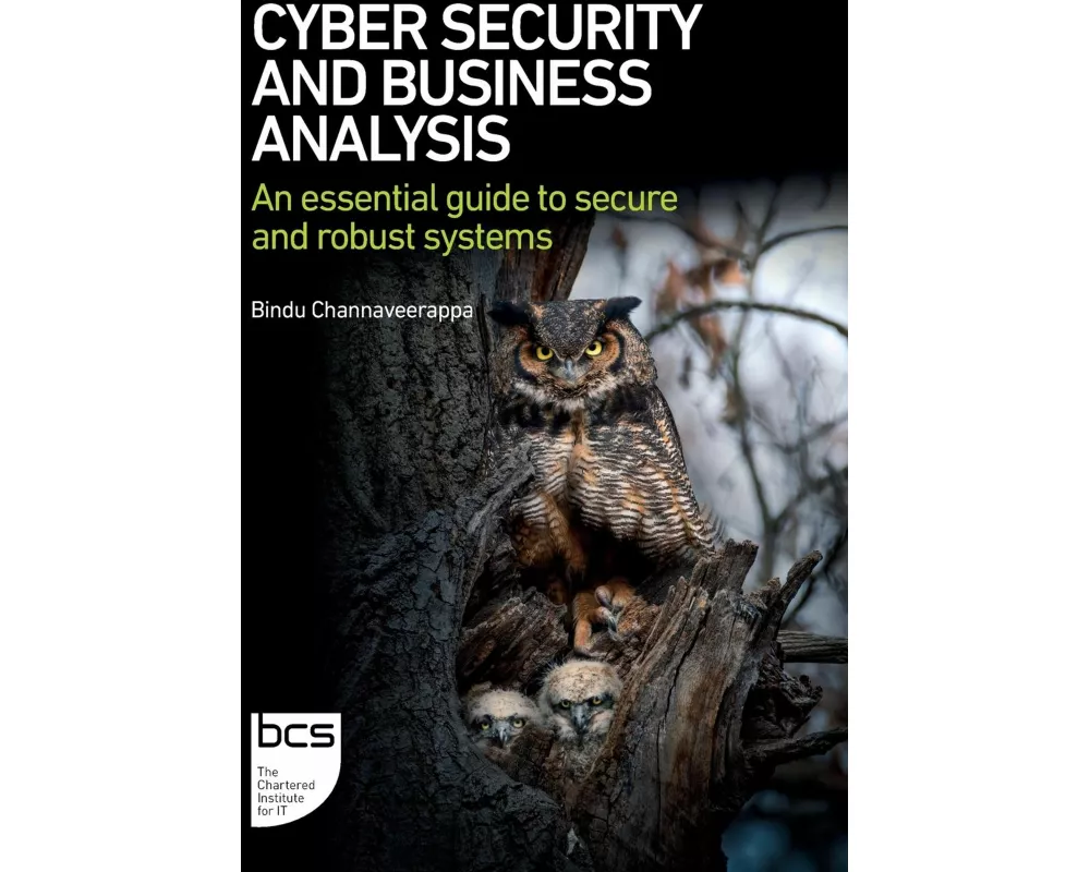 Cyber Security and Business Analysis